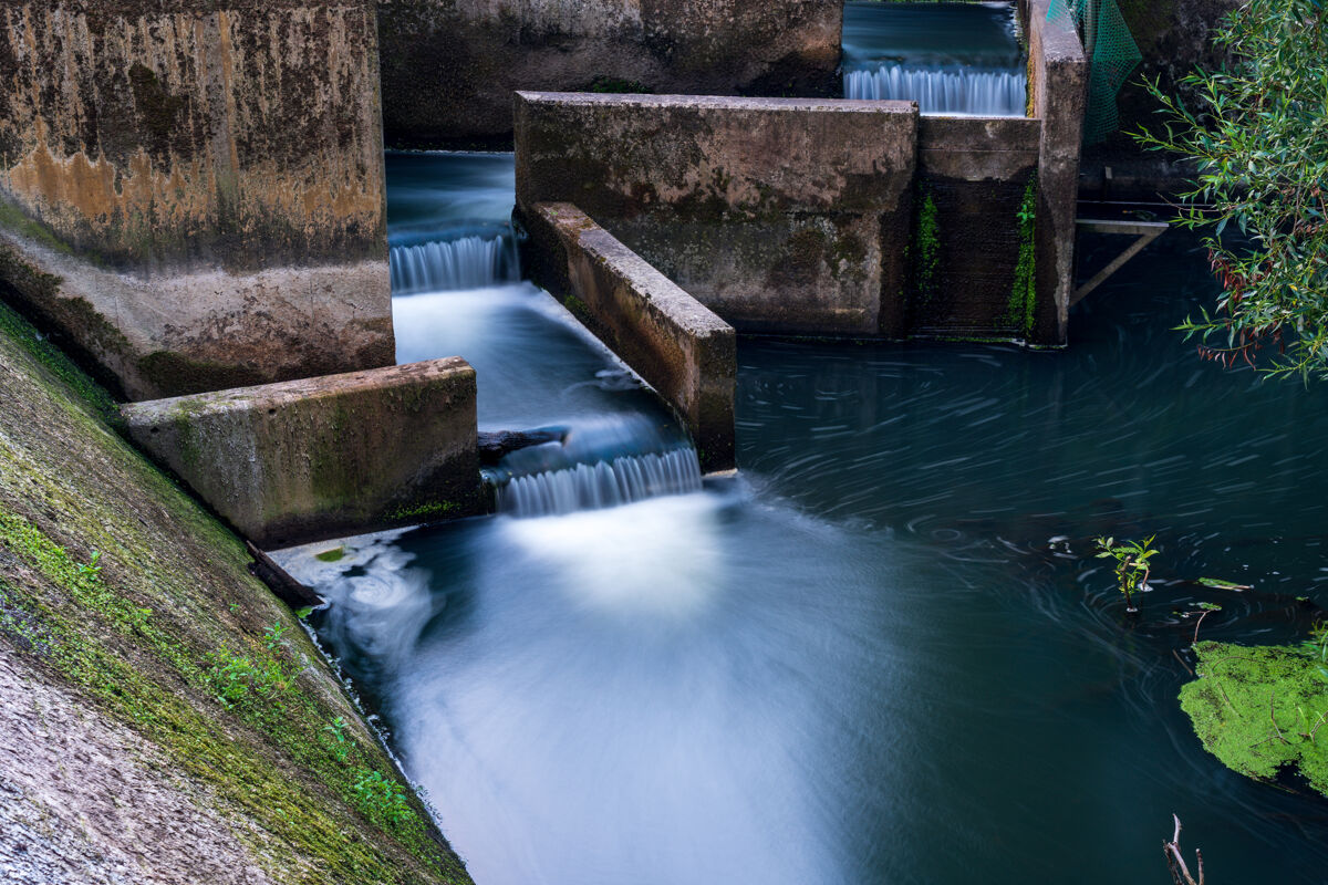 Fish passage in a Swedish dam