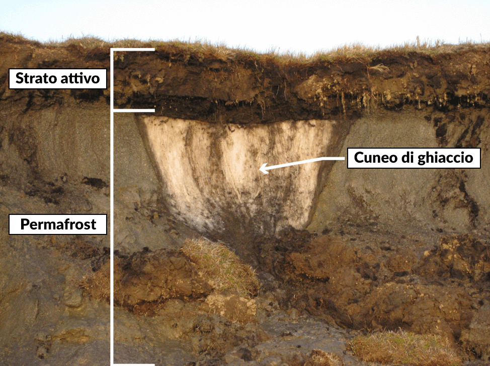 Schema che mostra i livelli del suolo in artico, caratterizzato da uno strato pi&ugrave; in profondit&agrave; che &egrave; perennemente ghiacciato, detto permafrost, su cui si trova lo strato attivo pi&ugrave; superficiale e di spessore minore, che invece si scongela in estate