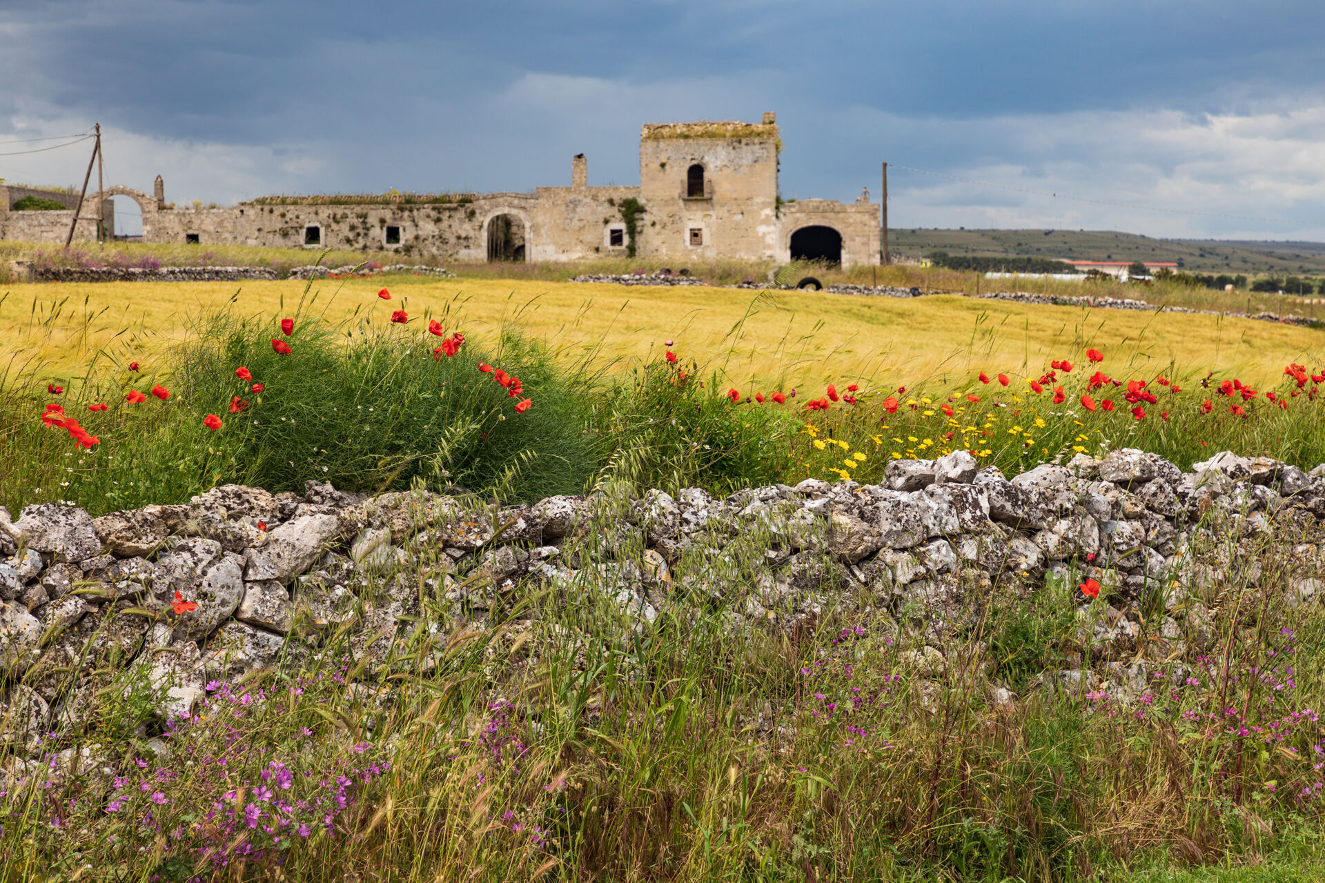 Abandoned countryside, Laterza, Puglia