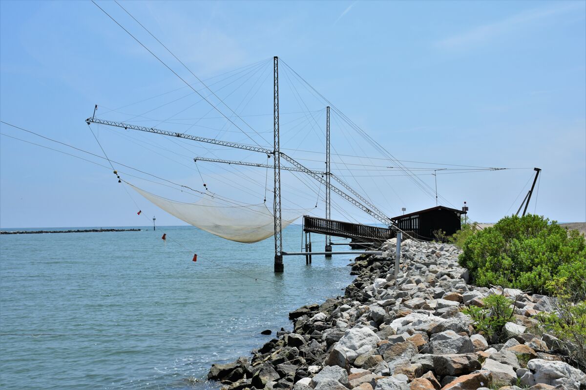 Bilancia su una laguna