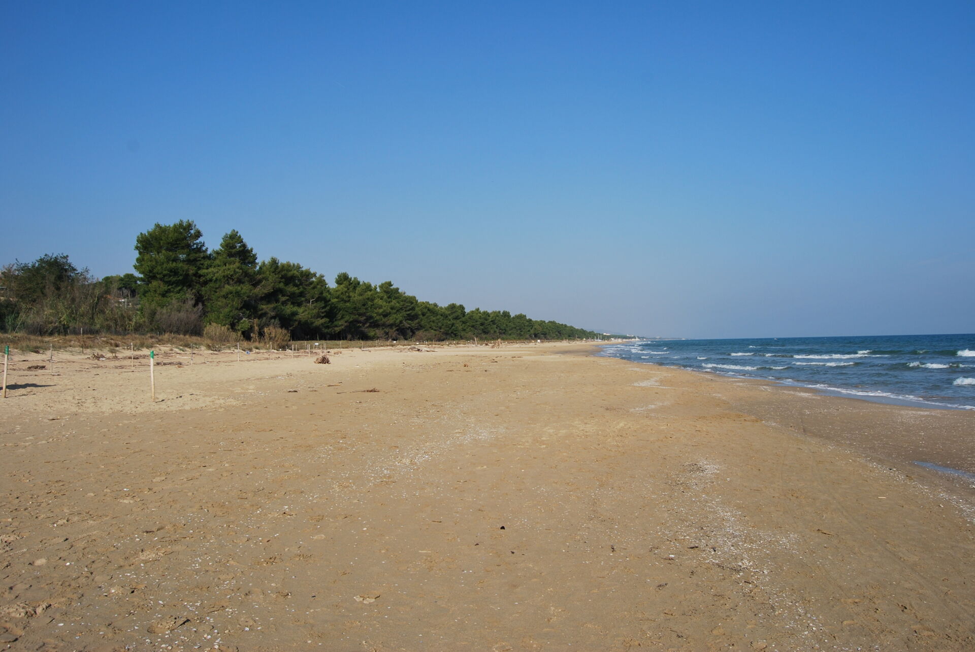 Torre del Cerrano, Teramo
