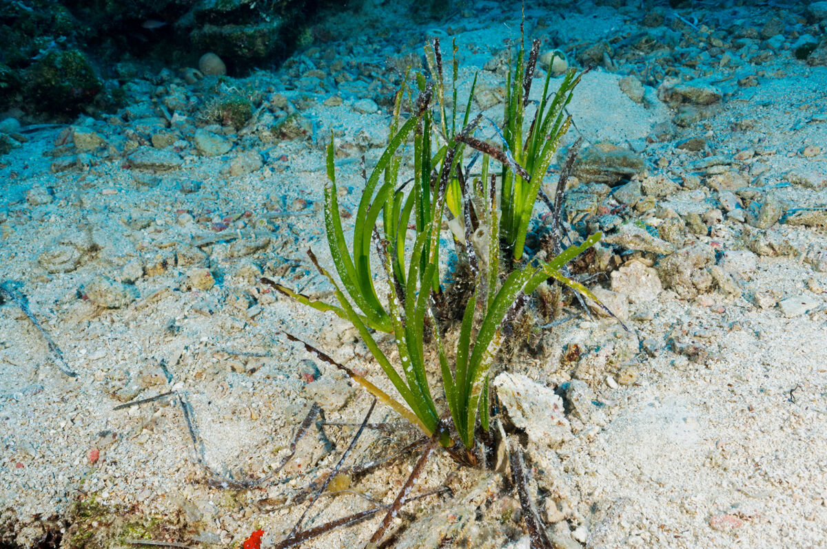 AdobeStock_387602023