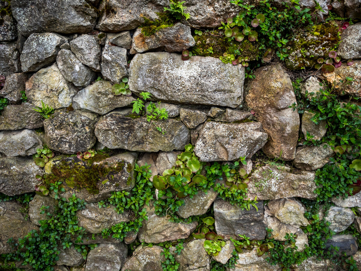43_AdobeStock_499980440
