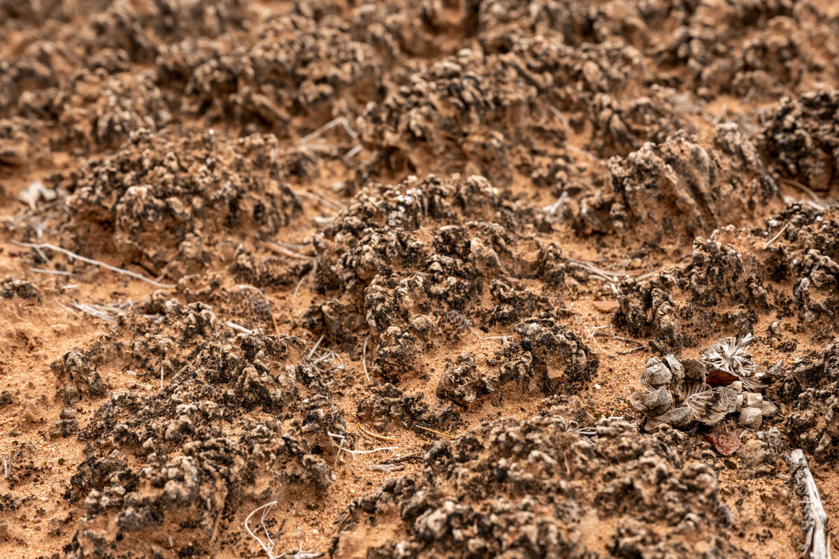 13_AdobeStock_527160904