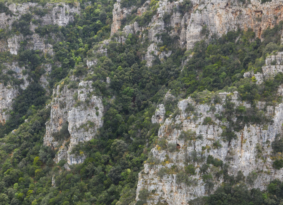 24bis_gravina-laterza-calcari-organogeni-1090273