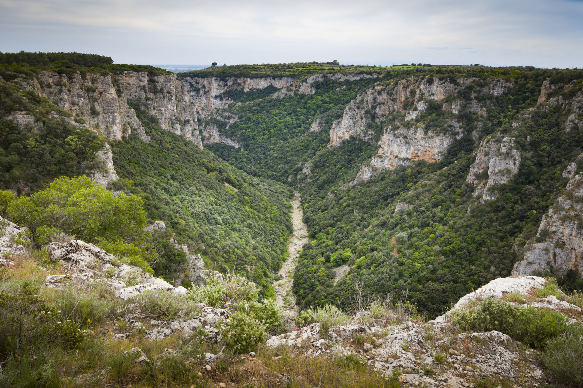 Another photo of the Laterza ravine, highlighting its vertical aspects