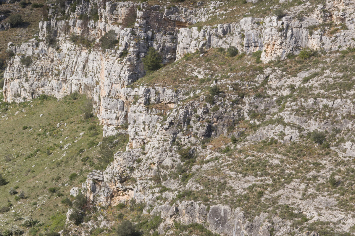 24_gravina-matera-calcari-organogeni-detail-1090331