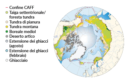 Mappa della distribuzione della tundra sulle aree dell&rsquo;ecosistema artico. Andando dal polo verso sud si incontrano: aree occupate dai ghiacci e dal deserto artico; la tundra di pianura che ricopre un piccola porzione delle aree pi&ugrave; a nord del Canada e della Russia: la tundra montana distribuita in piccole aree per lo pi&ugrave; a nord della Russia e dell&rsquo;Alaska. Sulle vaste aree rimanenti si estende per buona parte la foresta di taiga settentrionale mista a tundra.