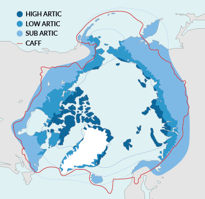 The map shows the arctic area in which the different environments are highlighted: starting from the pole and going towards the southern border of the area, there are the areas covered by ice, the high arctic, the low arctic and the sub arctic.