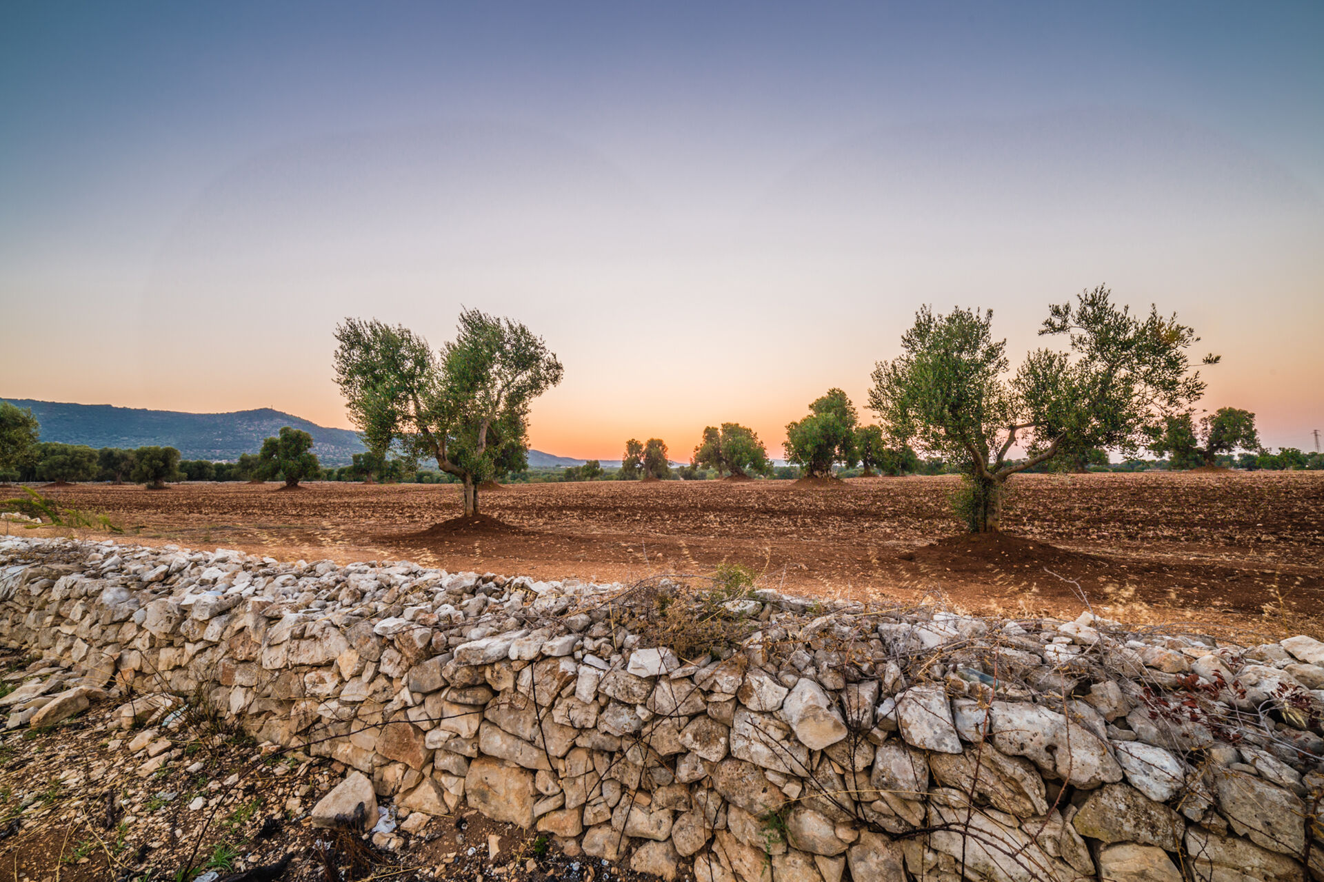 Drystone walls,&nbsp;Apulia