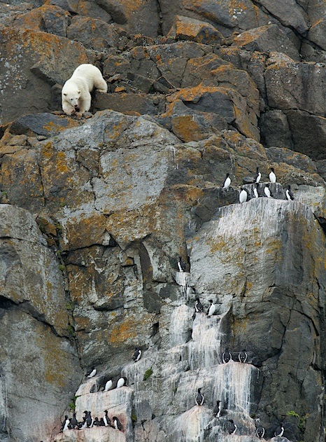 2013_07_25_alkefjellet_6992-1