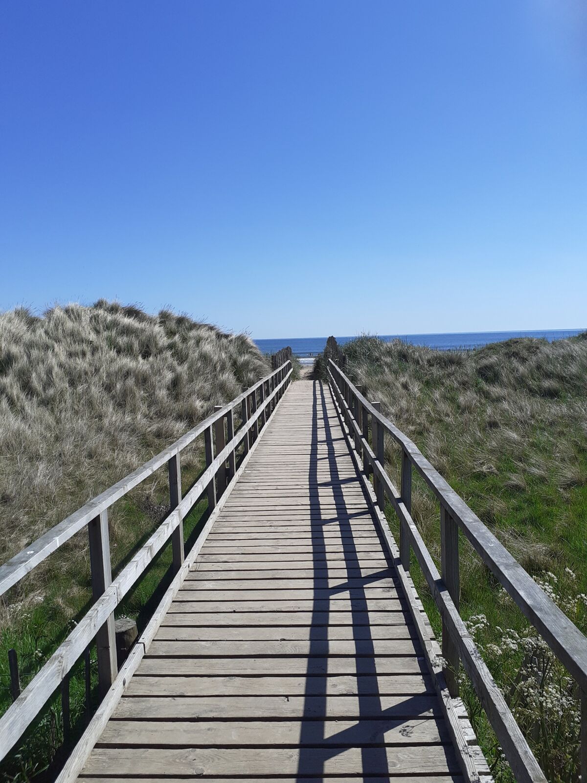 Spiaggia West Sands, St Andrews, Scozia