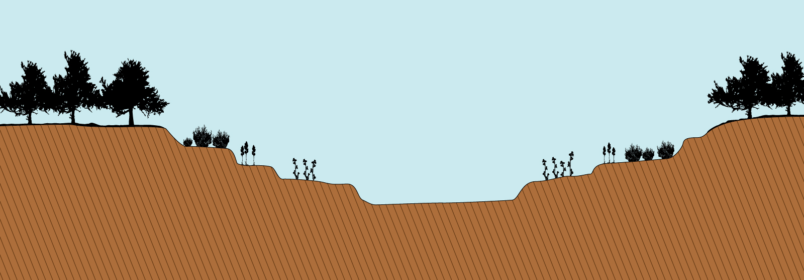 Transept of the vegetation of a Calabrian torrent, taken from da Brullo et al. 2001, La vegetazione dell&rsquo;Aspromonte. Laruffa Editori.