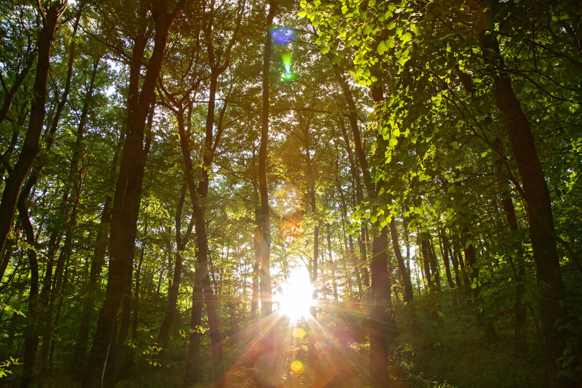 AdobeStock_550795497