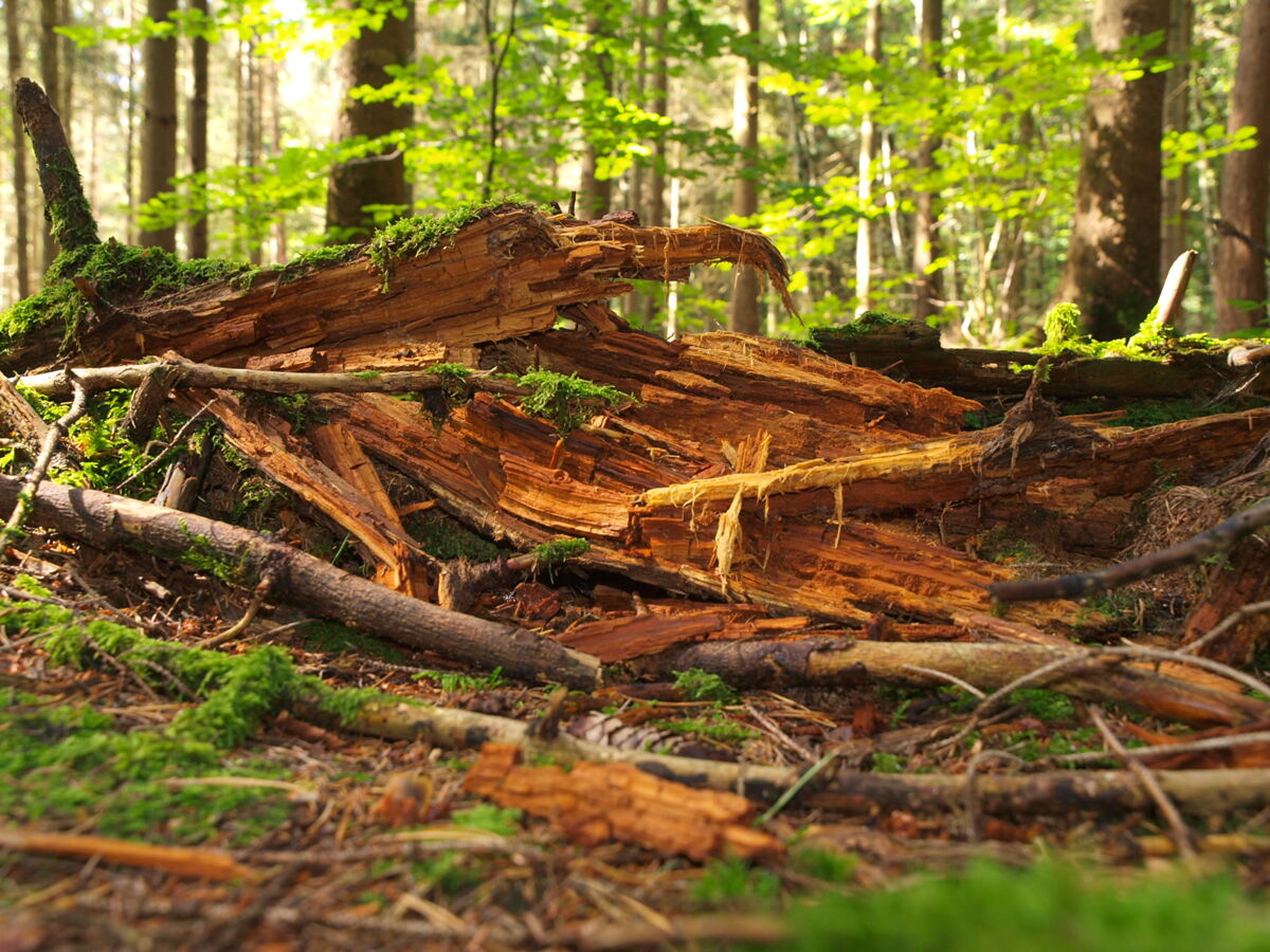 AdobeStock_250893429