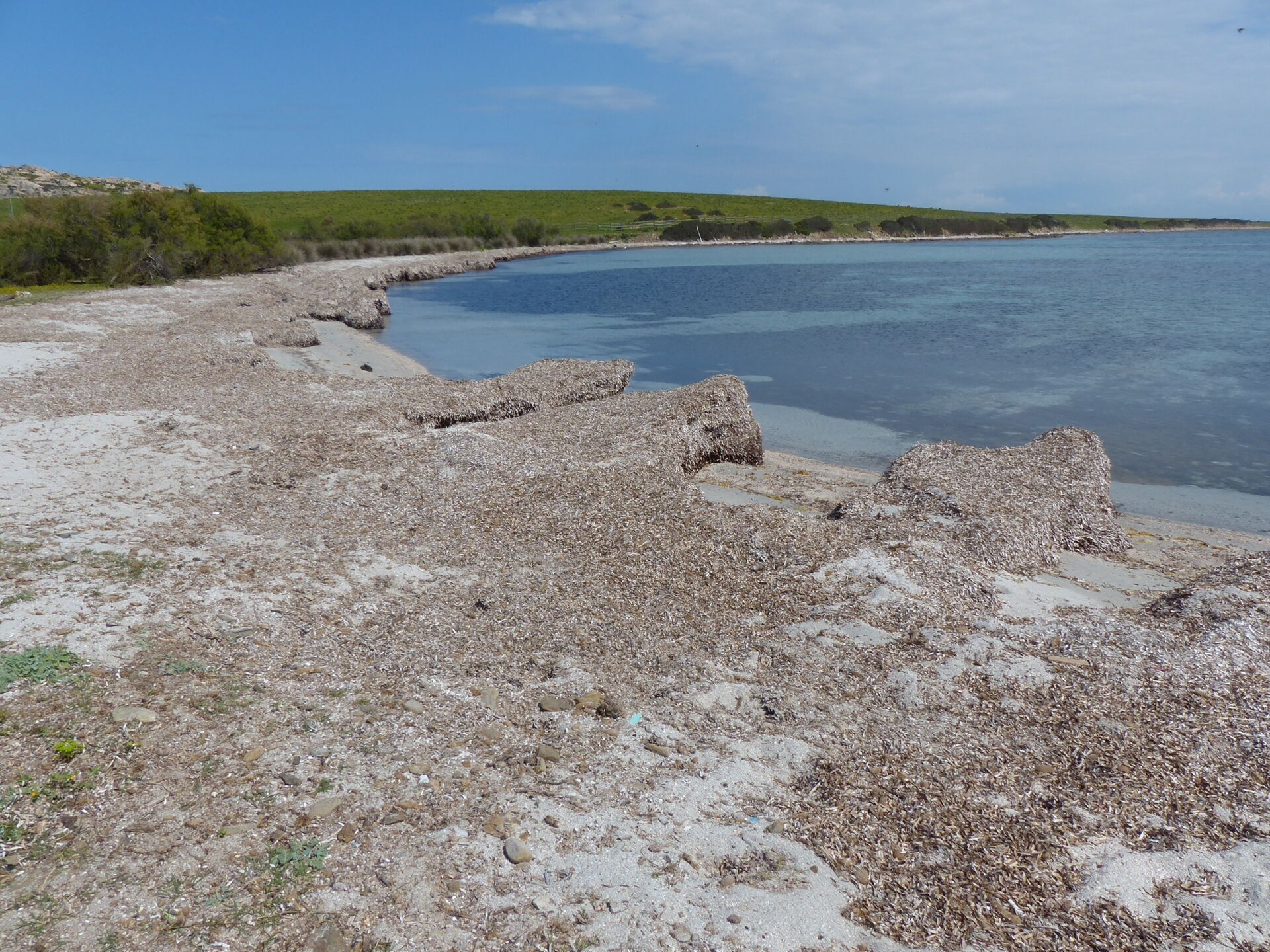 Isola dell'Asinara, Comune di Porto Torres, localit&agrave; Fornelli, Sardegna