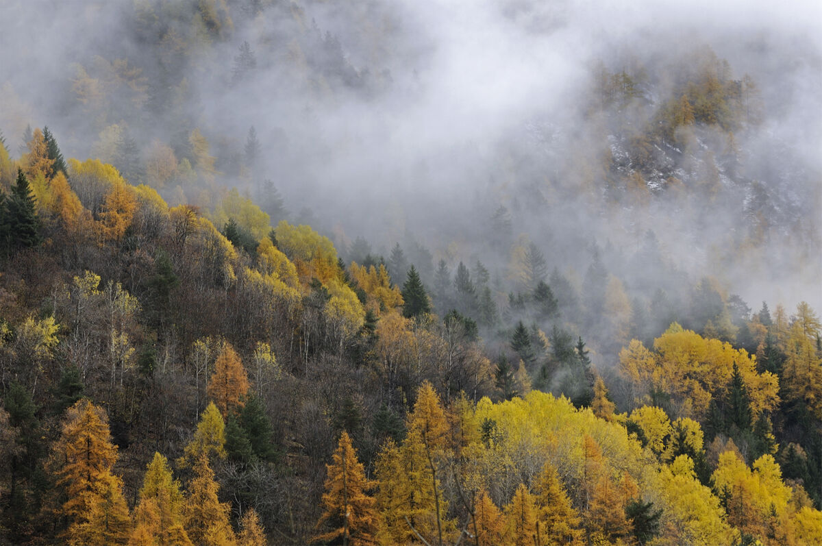 Valsavarenche, Parco Nazionale Gran Paradiso