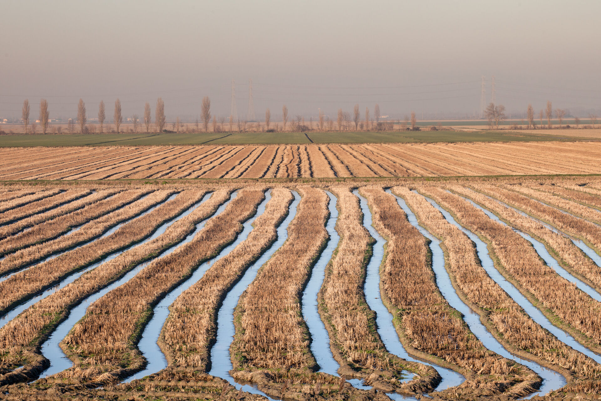 Delta del Po, campi irrigui arati