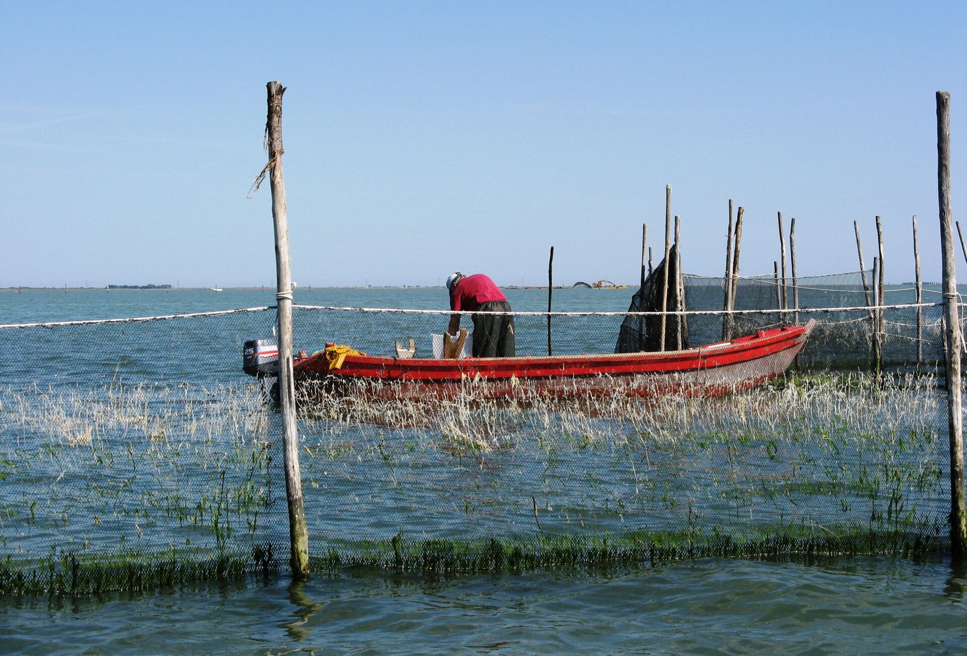 Delta del Po, Sacca Scardovari