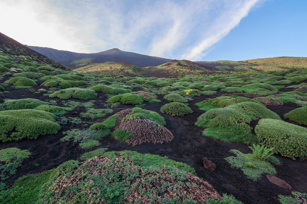 AdobeStock_473119715