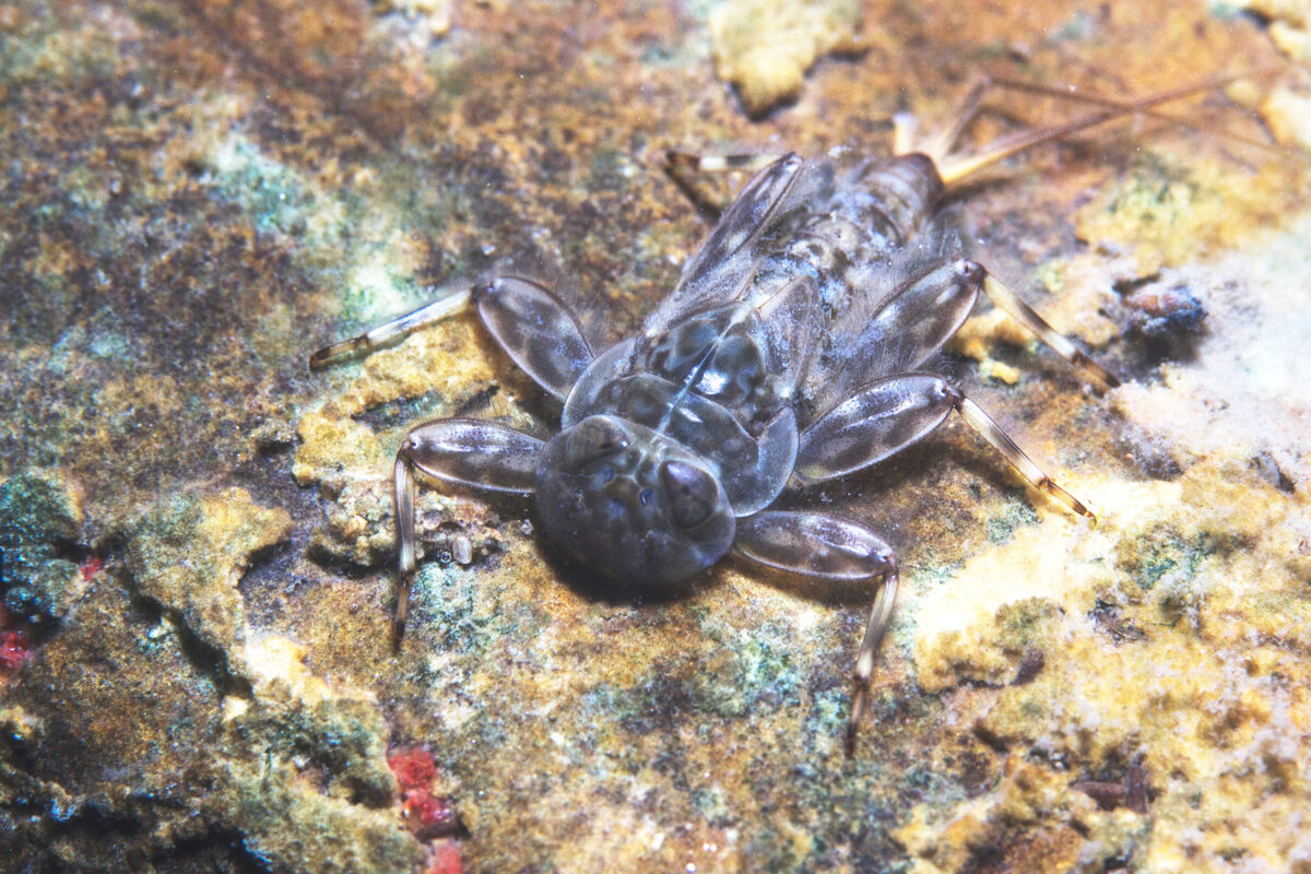 AdobeStock_187797283