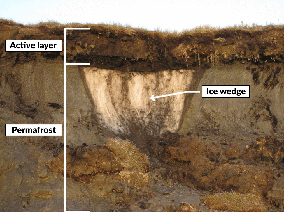 Diagram showing ground levels in the Arctic, characterized by a deeper layer that is perennially frozen, called permafrost, on which the more superficial and thinner active layer is located, which instead thaws in summer.
