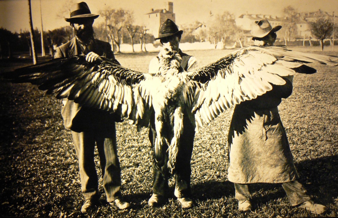 La foto rappresenta l'ultima uccisione nota di un gipeto nelle Alpi, avvenuta il 29 ottobre 1913 nella Val di Rh&ecirc;mes. L'esemplare esibito dai tre uomini &egrave; ora tassidermizzato e fa parte della collezione del Museo di storia naturale che si sta allestendo all'interno del Castello di Saint-Pierre.