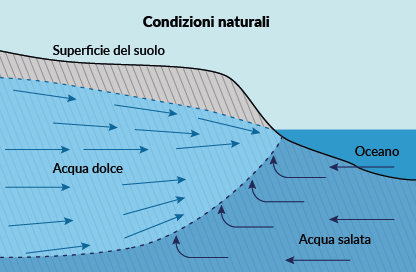 Schema del terreno costiero in condizioni naturali di equilibrio che nel sottosuolo presenta un normale apporto di acqua dolce che va a contrastare l&rsquo;ingresso dell&rsquo;acqua salata proveniente dal mare