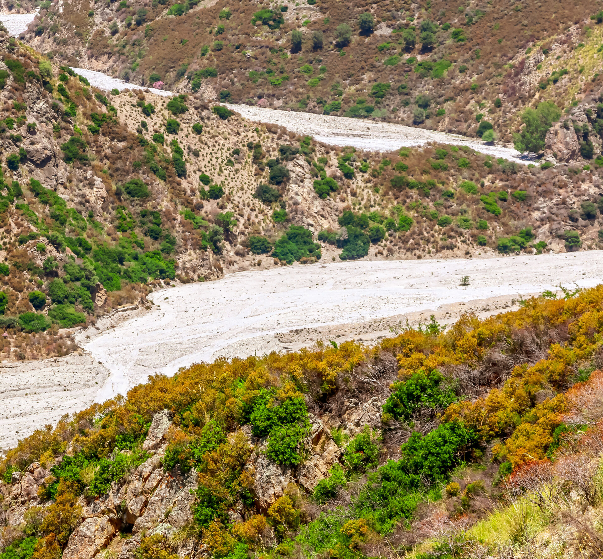Fiumara Amendolea (Calabria) in summer