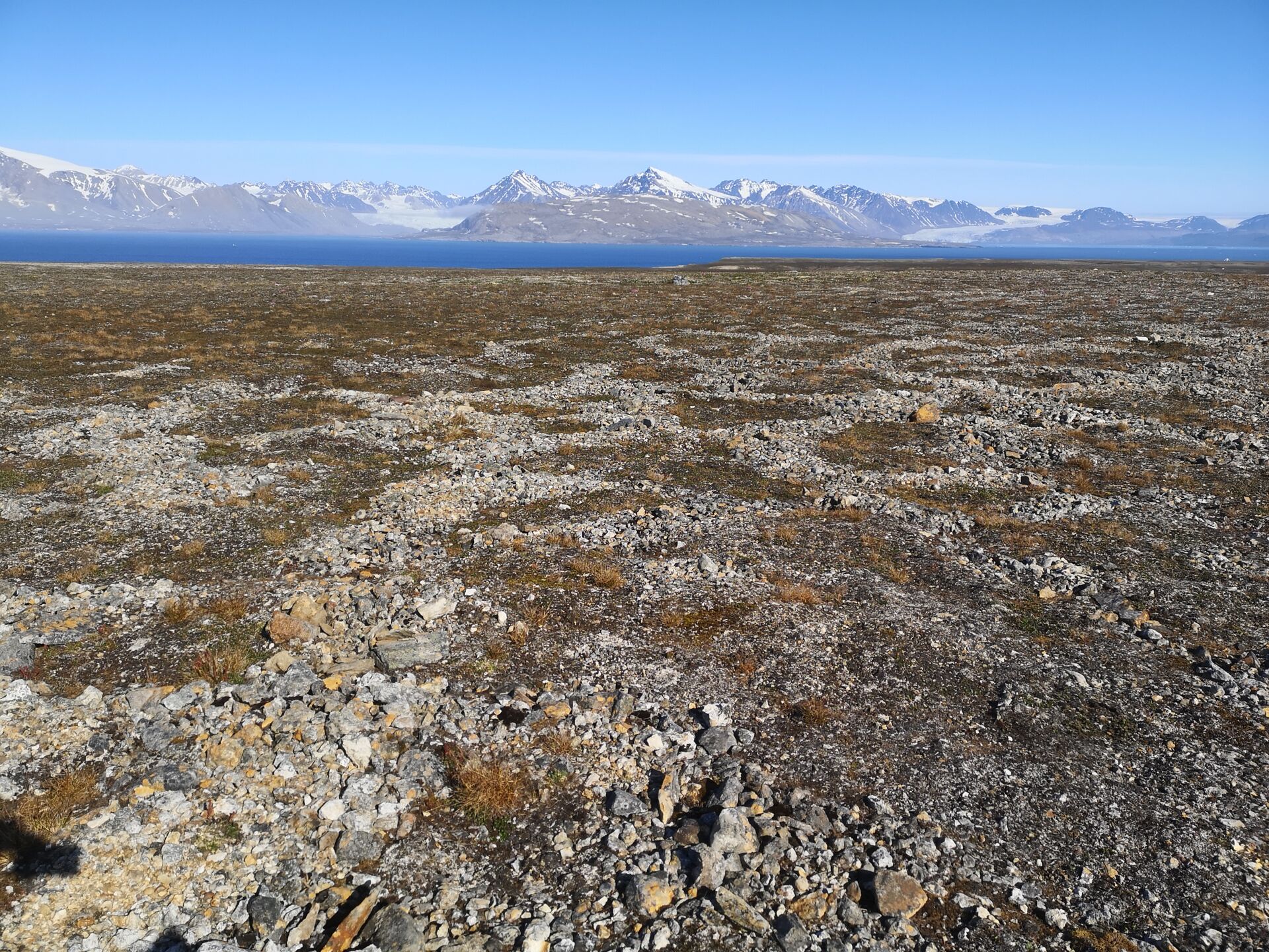 Suolo poligonale nella tundra, Kongsfjorden Svalbard. Luglio 2021.