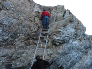 Ricercatori raggiungono un nido di zigolo delle nevi tra le rocce di una scogliera, per inanellarne i pulli.