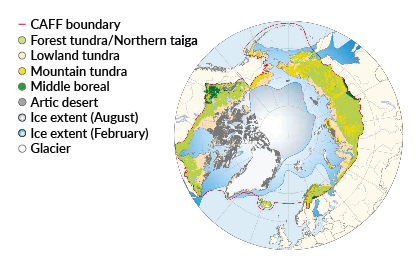 Map of tundra distribution over arctic ecosystem areas. Going south from the pole, we can find: areas occupied by ice and the arctic desert; lowland tundra covering a small portion of northernmost areas of Canada and Russia; mountain tundra distributed in small areas mostly north of Russia and Alaska. Northern taiga forest mixed with tundra extends over the vast remaining areas.