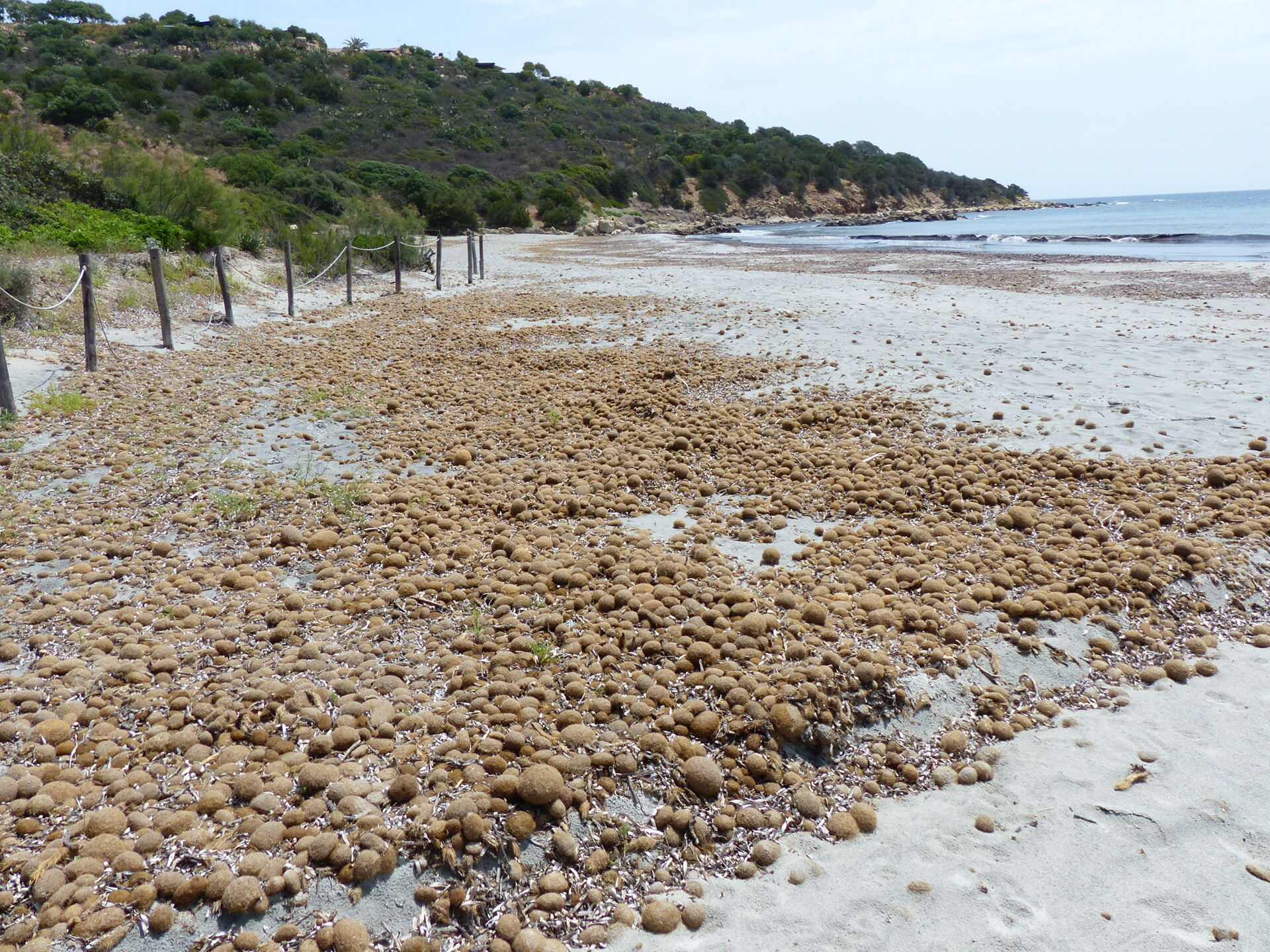 Comune di Villasimius, spiaggia di Is Traias, Sardegna