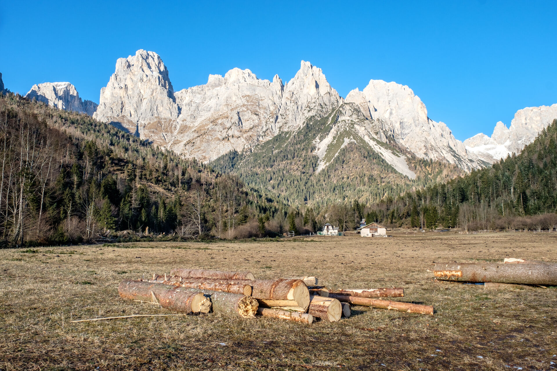 Trentino