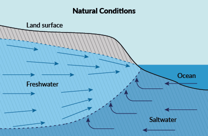 Diagram of the coastal terrain natural conditions in equilibrium which has a normal supply of fresh water underground which counteracts the entry of salt water from the sea.