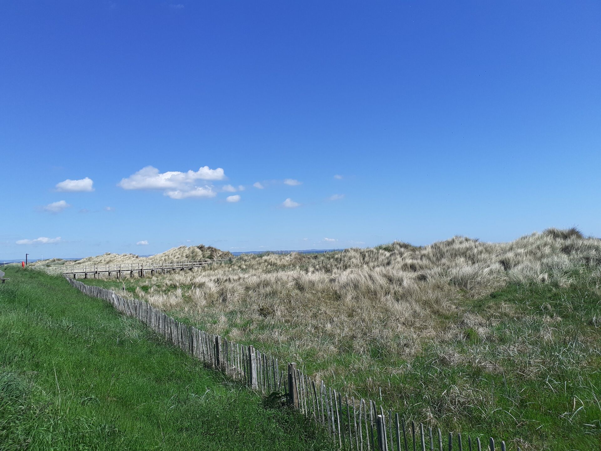 Spiaggia West Sands, St Andrews, Scozia