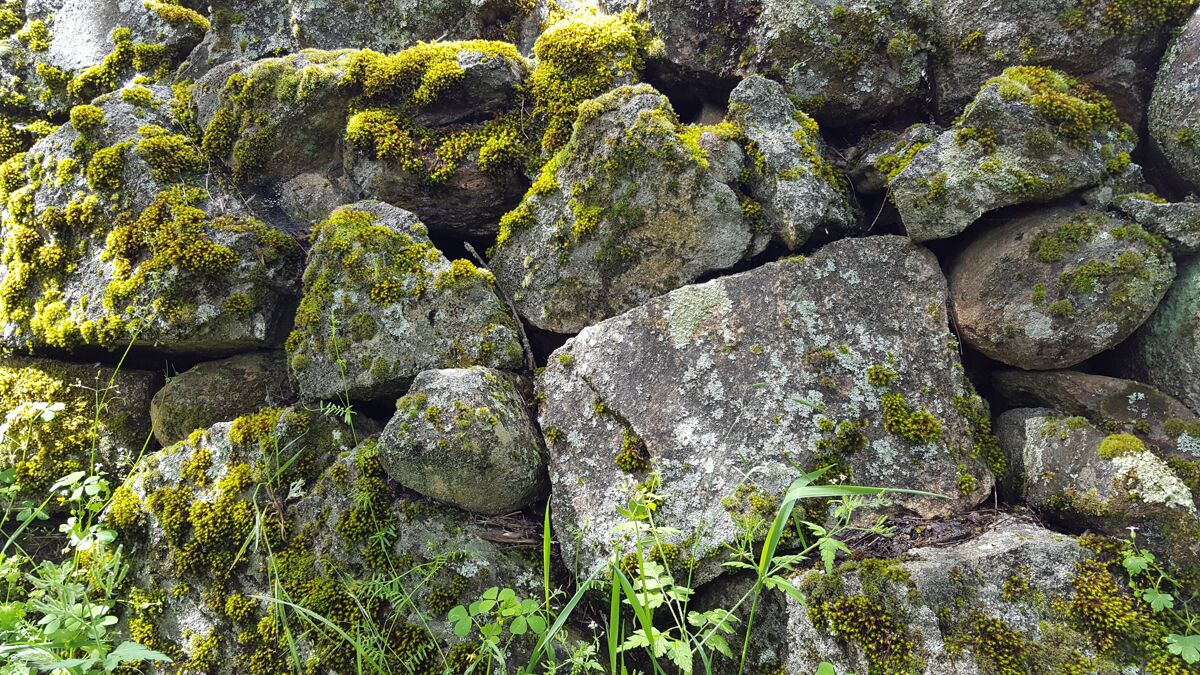 44_AdobeStock_377741120