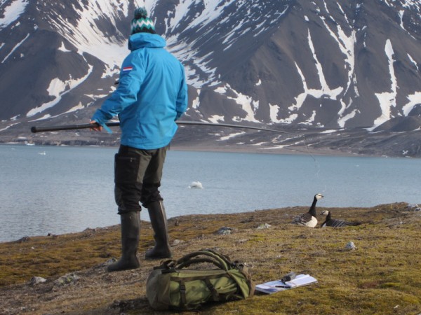 Cattura di un&rsquo;oca&nbsp;