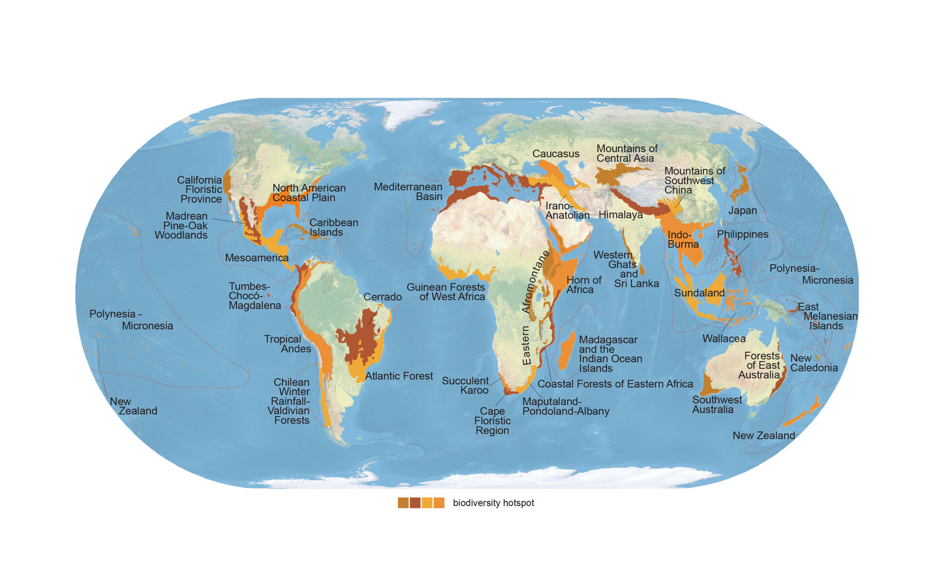 Conservation International (conservation.org) defines 36 biodiversity hotspots &mdash; extraordinary places that harbor vast numbers of plant and animal species found nowhere else. All are heavily threatened by habitat loss and degradation, making their conservation crucial to protecting nature for the benefit of all life on Earth.