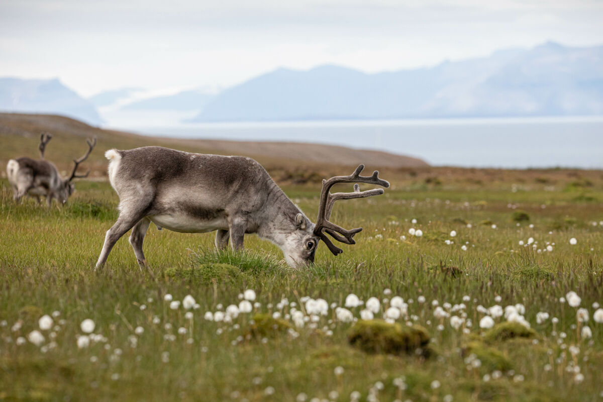 AdobeStock_284545266