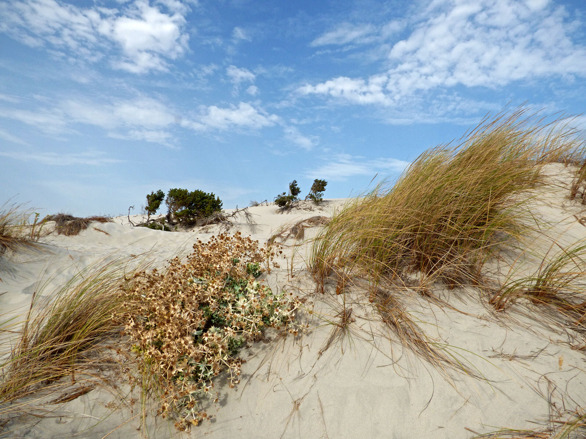 Dune a Porto Pino, Sardegna