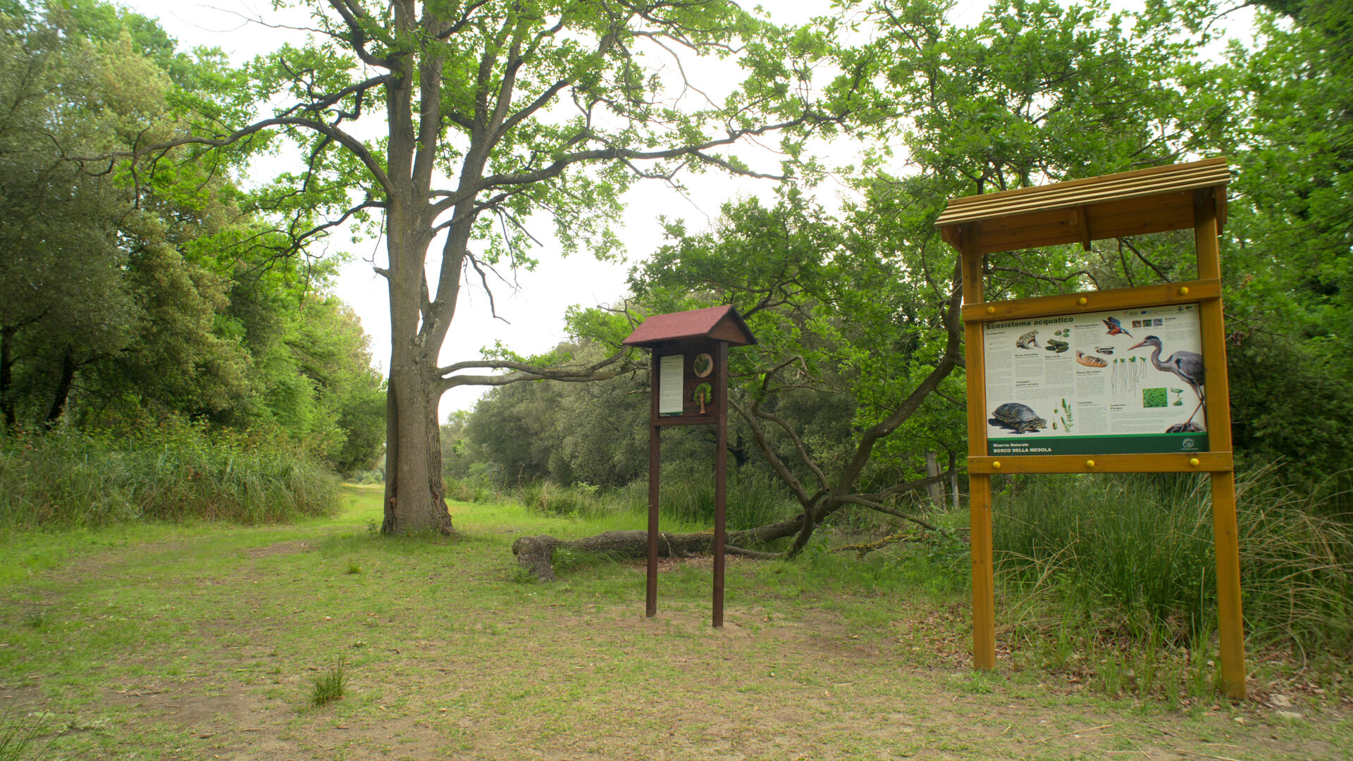 Signs in Bosco della Mesola nature reserve