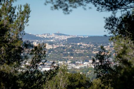 From nature to the city