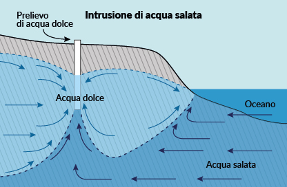 Schema dell&rsquo;ingressione del cuneo salino nel terreno costiero agevolata dalla modifica della portata d&rsquo;acqua dolce sottostante per opera di prelievo da parte dell&rsquo;uomo, che ne diminuisce il contrasto con l&rsquo;acqua salata che penetra sempre pi&ugrave; all&rsquo;interno